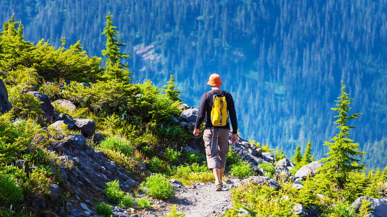 Ankle Braces & Supports for Hiking