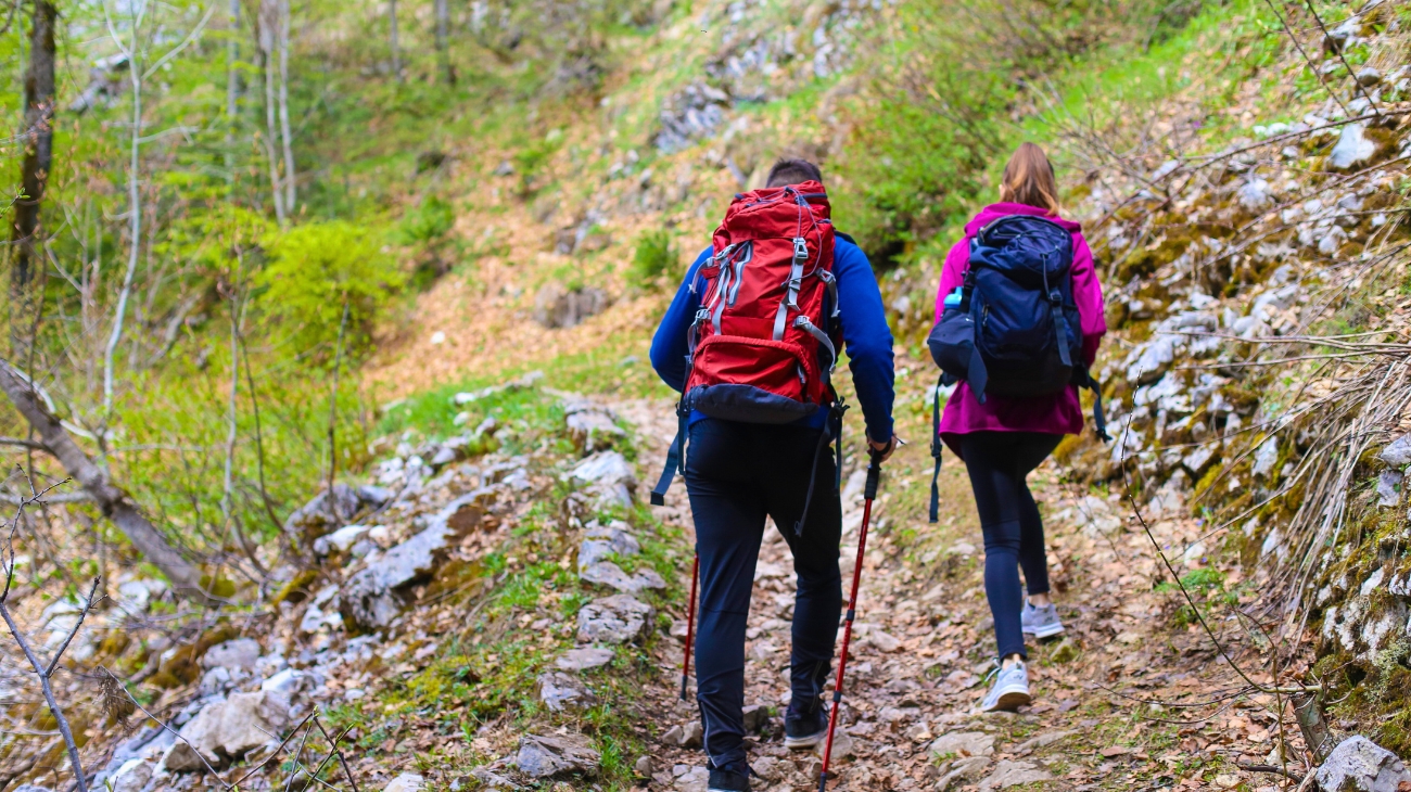 Back Braces & Supports for Hiking