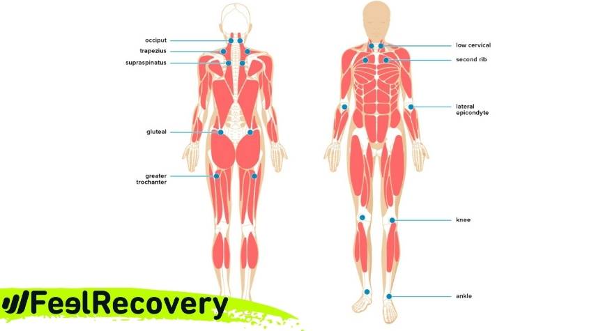 How to identify a myofascial pain point anywhere in the body?