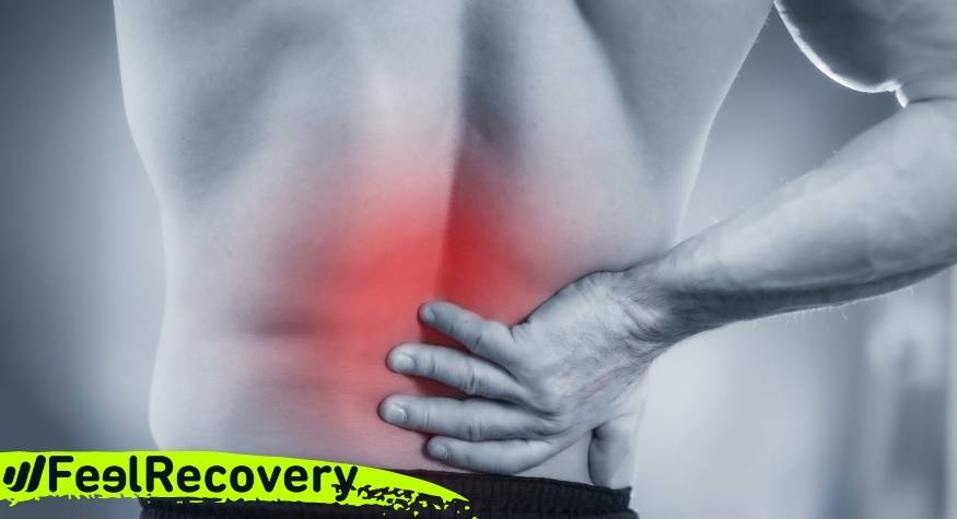 What are the main causes of back pain?