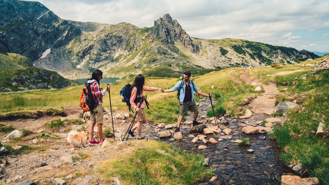 Hand & Wrist Braces & Supports for Hiking