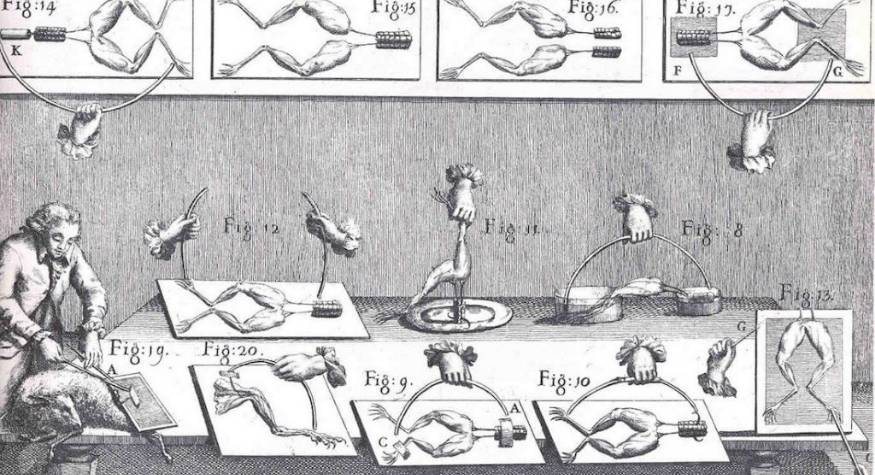 Historia och ursprung: När började man använda elektricitet för att stimulera musklerna?