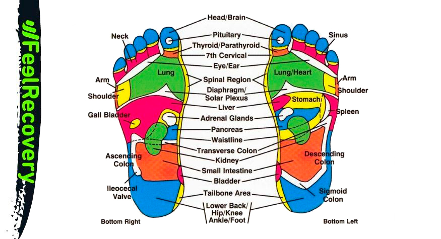 Puntos de reflexología podal