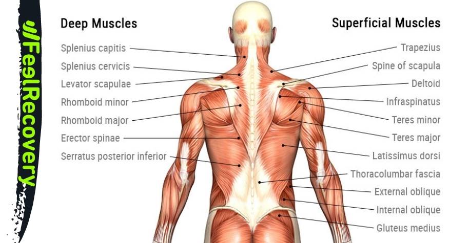 Cómo mantener la espalda sin dolor con electroestimulación